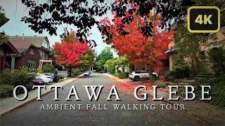 OTTAWA GLEBE - 4K City Walking Tour - Shopping & Suburbs - Downtown Sightseeing Ambience in Fall