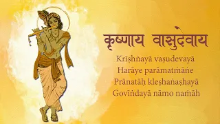 Krishnay Vasudevay | Most Powerful Shri Krishna Mantra | कृष्णाय वासुदेवाय