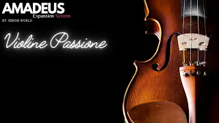 Theme from Schindlers Liste AMADEUS Violine Passione