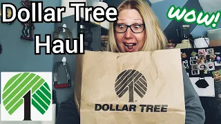 DOLLAR TREE HAUL | WHAT DID I FIND?! | BRAND NEW $1.25 FINDS WOW