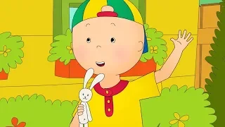 Caillou 's PicNic | Funny Animated cartoons | WATCH ONLINE | Cartoon for Children | Cartoon Movie