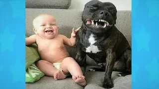 Adorable Dogs Playing With Babies - Funny Babies Compilation 2018