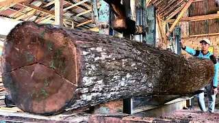 A Rare Sawmill: See How Mahogany Is Cut Into Planks!