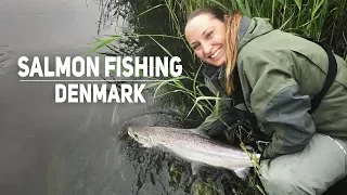 Salmon Fishing In Storaaen, Denmark - Dramatic fight with big silver salmon! (English subtitles)