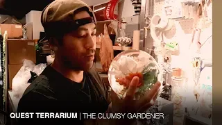 CLUMSY GARDENER | QUEST Terrarium