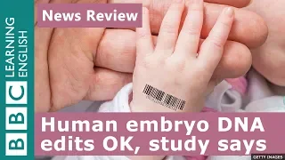 Human embryo DNA editing OK, says study: BBC News Review