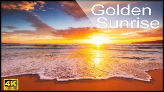 4k Golden Sunrise on the Beach - Relaxing Ocean Waves Sounds and Seagulls - No Music