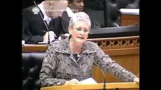 ANC: Hon A. van Wyk - Use of Waterkloof Air Force Base Debate
