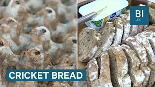 The Finnish Bakery Putting Crickets Into Their Bread