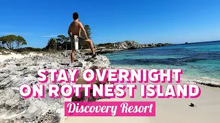 🏨 Stay Overnight｜Discovery Rottnest Island｜Deluxe Oceanside Tent｜Quokka｜Western Australia