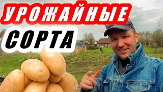 ЛУЧШИЙ СОРТА КАРТОФЕЛЯ! Высокоурожайные сорта картофеля. Семенная картошка этого года.