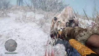 Far Cry® Primal - Me Vs Saber Tooth Cat!!