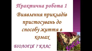 Практична робота 1:Виявлення прикладів пристосувань до способу життя в комах (біологія 7 клас).