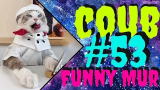 53 Приколы (кубы, coub, коуб, best coub и best cube) - приколы 2021 🔥