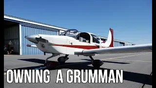 The Cost Of Owning A Grumman Tiger Airplane