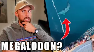 MEGALODON neben einem SCHIFF gesichtet? - Meeresbiologe erklärt | Robert Marc Lehmann