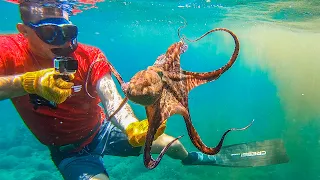 Massive OCTOPUS in World WAR II BOMB! {Catch Clean Cook} Authentic Chamorro Recipe! Pagan, CNMI