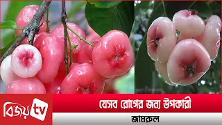 যেসব রোগের জন্য উপকারী জামরুল । Bijoy TV