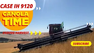 Farming Canola for the first time ever - Grain Hogs S02EP21