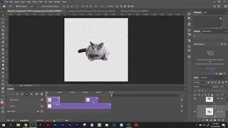 Photoshop   Motion Timeline + Keyframes