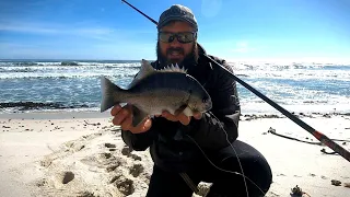 How to: Fishing for Galjoen on the West Coast, Water reading and Bait presentation: Day-1