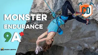 19 Year Old REPEATS Adam Ondra 9a+ | Climbing Daily Ep.1661