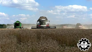 Уборочная-2023 в Липецкой области. Продолжение. Акросы, Акросы, Акросы и, конечно, Джон Диры