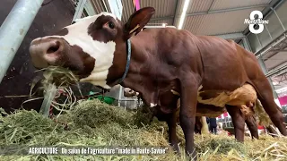 Un salon de l'agriculture "made in Haute-Savoie"