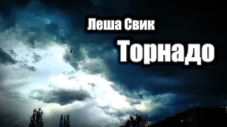 Леша Свик - Торнадо ❤️ | My Mood Video + Subtitles