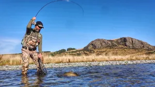 FLY FISHING for TROUT on a COLD, SUNNY Day in New Zealand