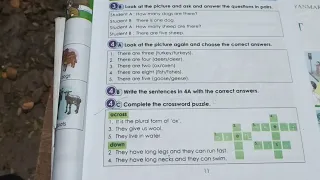 Grade 4 English, Unit 2 Animals, Lesson 1 There is/are......, 4C crossword puzzle