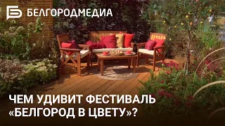 Чем удивит фестиваль «Белгород в цвету»?