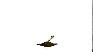 A growing plant | small Animation