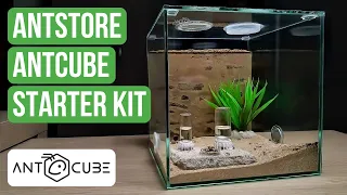 Ant Nest Review: Antstore ANTCUBE Starter Kit | BRUMA Ants