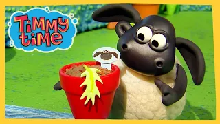 Timmy's Spring Surprise | New Timmy Time