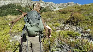 New Zealand Red Stag and Chamois Hunt