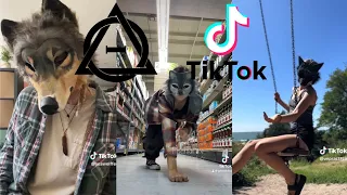 Therian and Quadrobics TikToks || Compilation 🐾🍂 || Alterhumans of TikTok #19