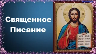 Священное Писание - Добротолюбие, избранное для мирян