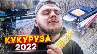 100ц/га/ УБОРКА КУКУРУЗЫ 2022