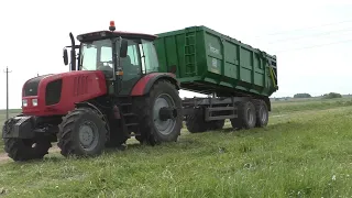 Вывозка и Выгрузка навоза на поле тремя тракторами МТЗ 2022.3 БЕЛАРУС