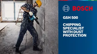 Bosch GSH 500 Professional Demolition Hammer With Hex