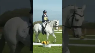 An edit for the dressage lovers 💖 || Video credits - @elphick.event.ponies #shorts