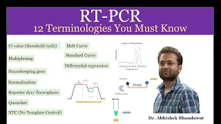 RT PCR terms: Terminologies related to real-time PCR you must know