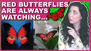 Why You Should NEVER Chase A Red Butterfly