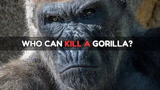 These 6 Animals Could Defeat A Gorilla🦍