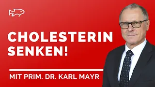 Kann Training den Cholesterinspiegel senken?