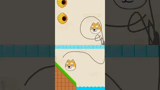 protect my pet level 49 #viral #protectmypetlevel49 #shortfeed