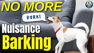 Stop Barking Dogs! Step-By-Step Action Plan And Anti-Bark Strategies To Avoid #240 #podcast