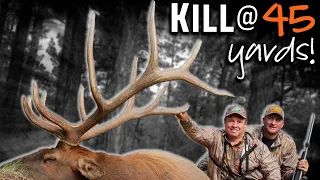 We Killed A Giant! Elk Hunting in Colorado with Guy Eastman