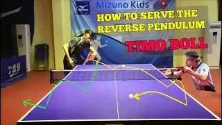 How To Serve The Reverse Pendulum Like TIMO BOLL ( Table Tennis )